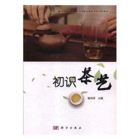 初识茶艺