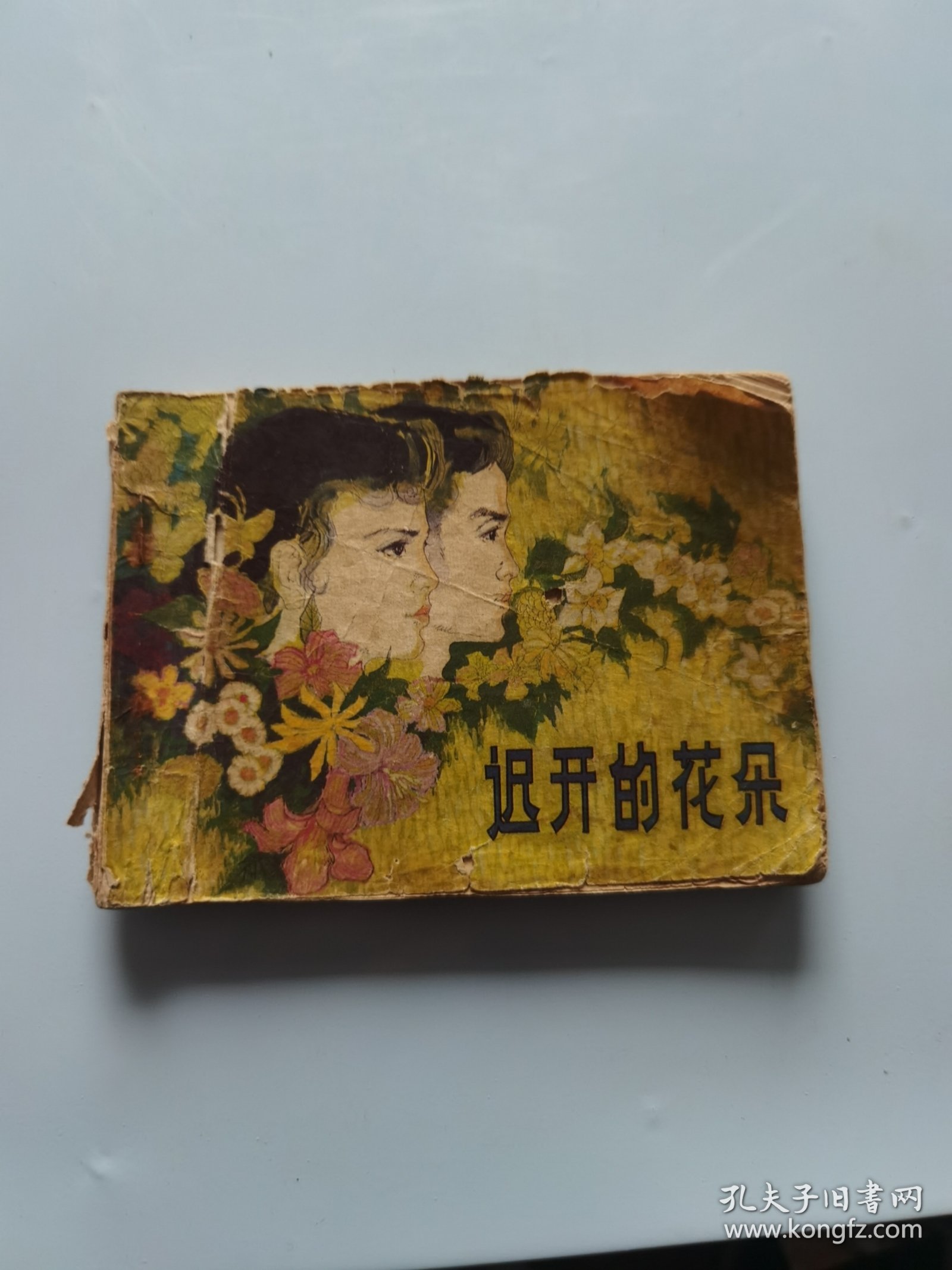 连环画 迟开的花朵