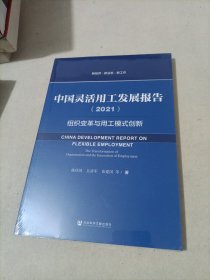 中国灵活用工发展报告（2021）未拆封