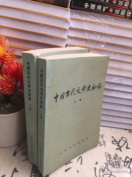 中国当代文学史初稿（上下）