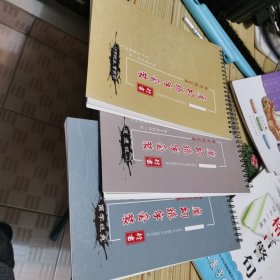 魔幻练字帖套装（套装共3册）行书技法 常用字 国学经典 道德经