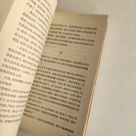 历史在这里沉思 ——1966—1976年记实