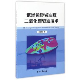 【正版新书】低渗透砂岩油藏二氧化碳驱油技术