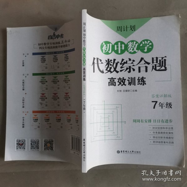 周计划：初中数学代数综合题高效训练（7年级）