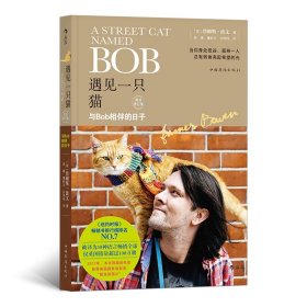 遇见一只猫:与Bob相伴的日子