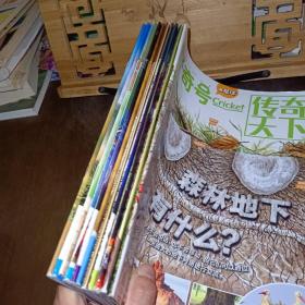 好奇号（2022年7月上下、8月上下、9月上下、10月上下、2023年2月上、2023年7月上下、免费赠阅1本）13+1