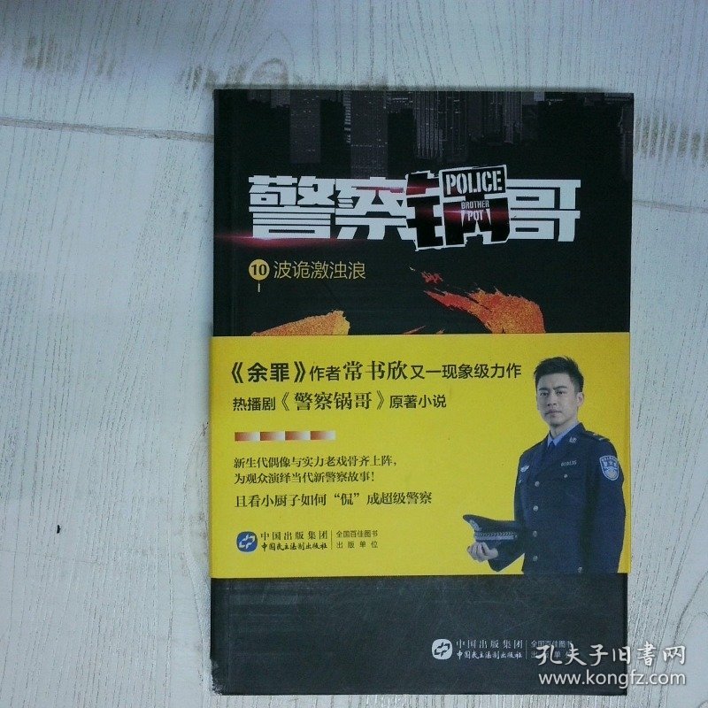 警察锅哥10波诡激浊浪  常书欣著 中国民主法制出版社
