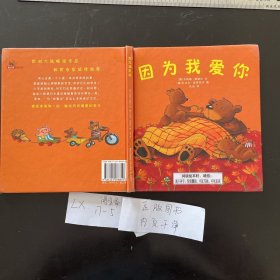 幼儿童图书 因为我爱你