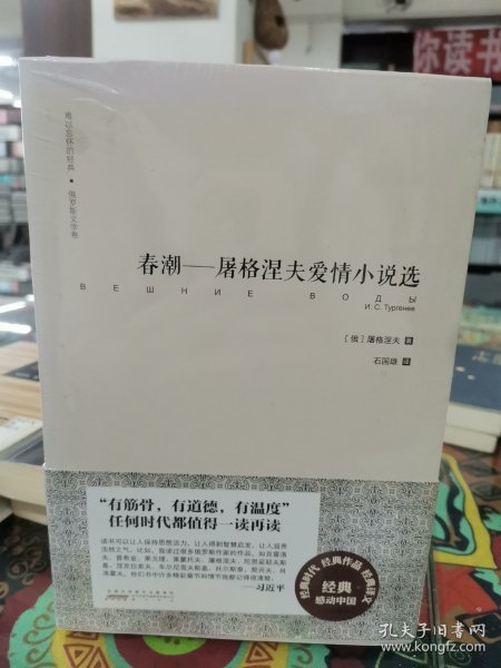 难以忘怀的经典·俄罗斯文学卷：春潮——屠格涅夫爱情小说选