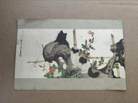 老卡片，1956年，刘奎龄作，猫。