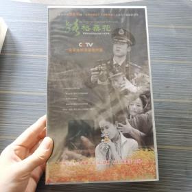 一路格桑花DVD 十碟装。未拆封