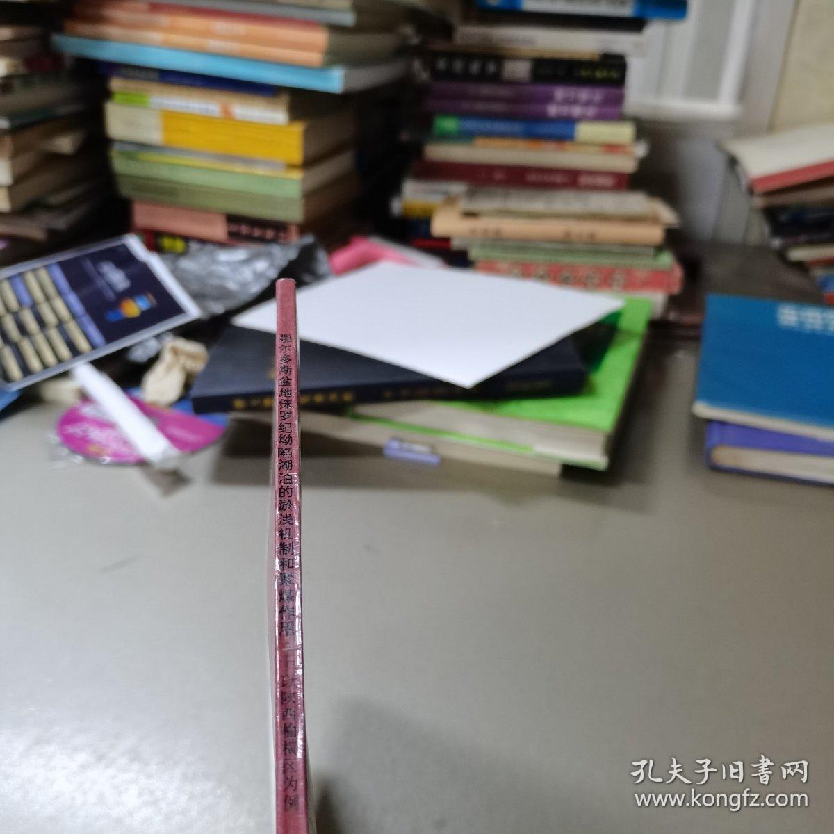 鄂尔多斯盆地侏罗纪坳陷湖泊的淤浅机制和聚煤作用:以陕西榆横区为例