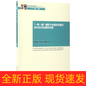 一带一路视野下中国在印度洋四大经济走廊的发展/国家智库报告