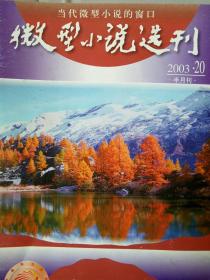 微型小说选刊(2003.20)