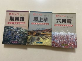 记忆中的反右派运动：六月雪、原上草、荆棘路 三本合售