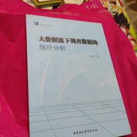 大数据流下调查数据的统计分析