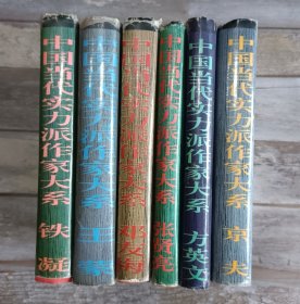 中国当代实力派作家大系（6册）