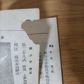 少林正宗练步拳