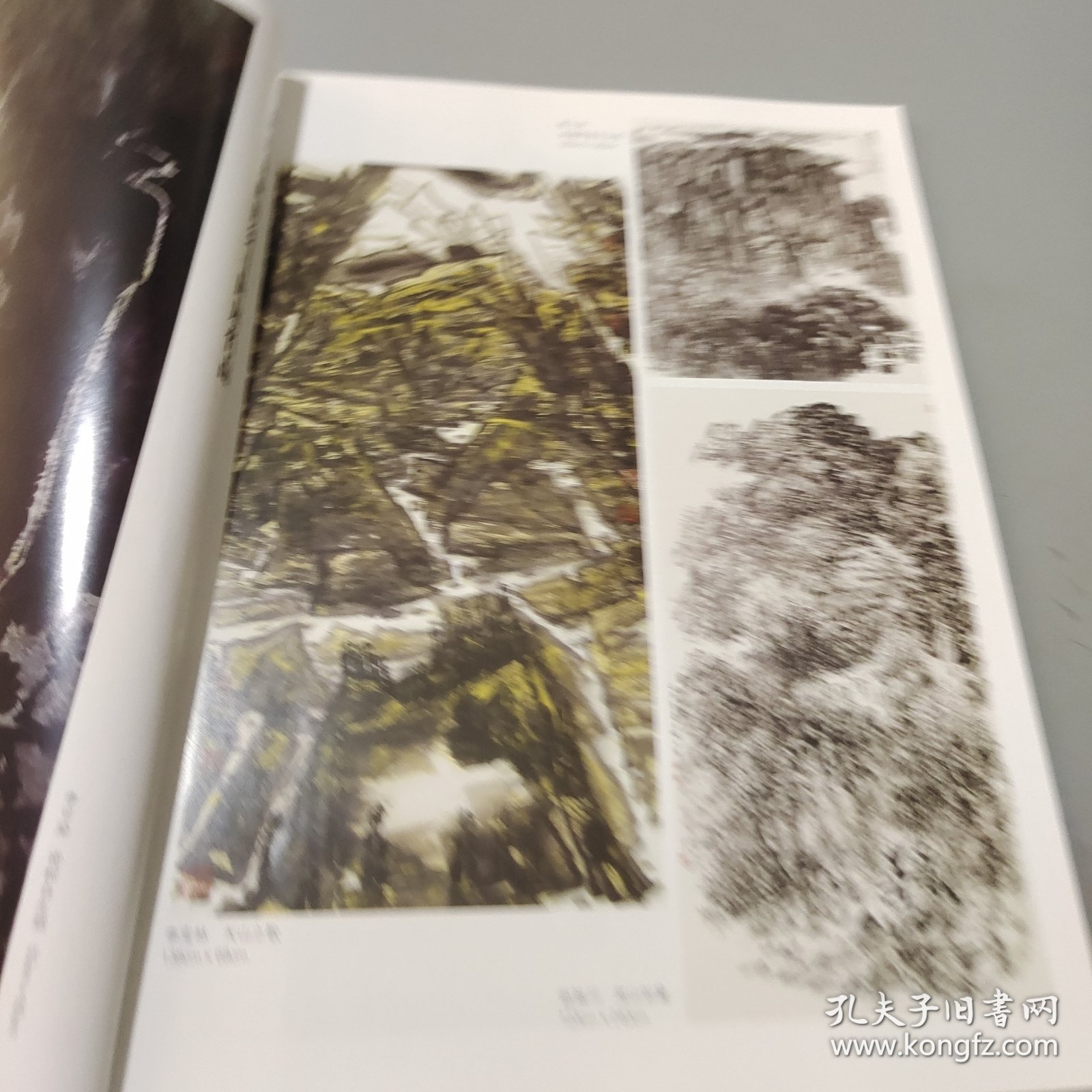 国画家