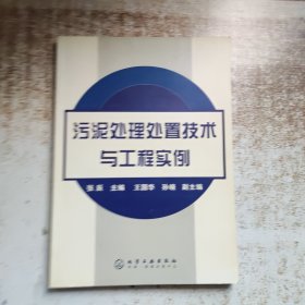 污泥处理处置技术与工程实例