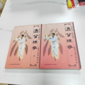 通背缠拳.上下 中国洪洞·徐氏秘传