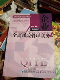 企业管理升级与内控实务丛书：全面风险管理实务（第四版）