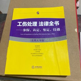 工伤处理 法律全书：参保、认定、鉴定、待遇（实用大字版）