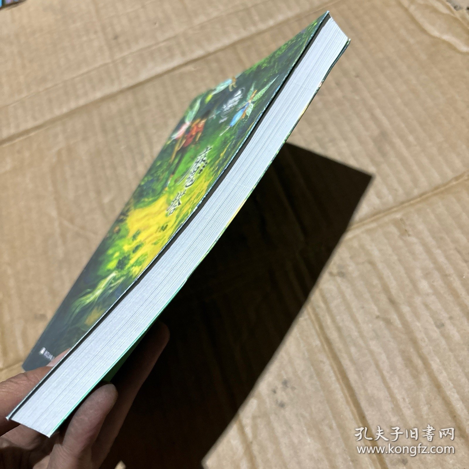 魔塔/彭懿成长幻想小说