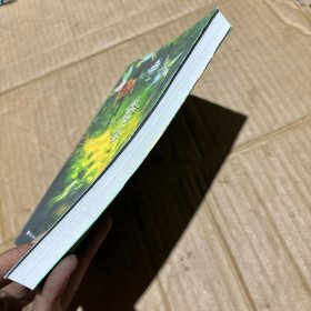 魔塔/彭懿成长幻想小说