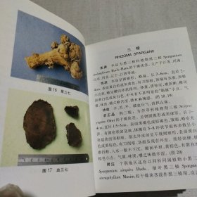 袖珍中药材鉴别图谱