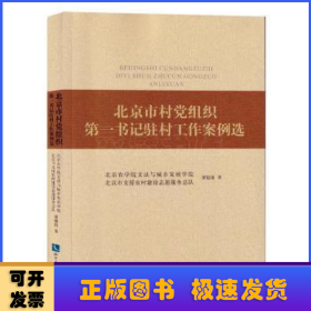 北京市村党组织第一书记驻村工作案例选