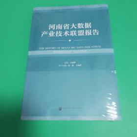 【可开票】河南省大数据产业技术联盟报告，社会科学文献出版社