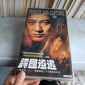 VCD：二十三集反貪巨片 跨國(guó)追逃（23碟裝）