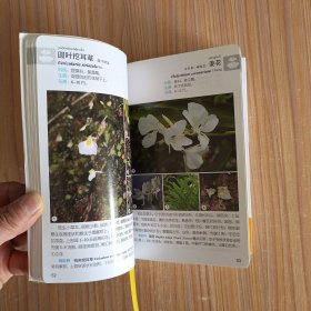 华东野外观花手册