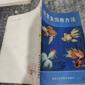 观赏鱼的饲养方法
