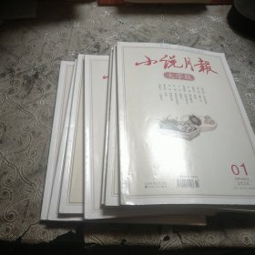 小说月报，大字版，2020(1，3一6，11，12)