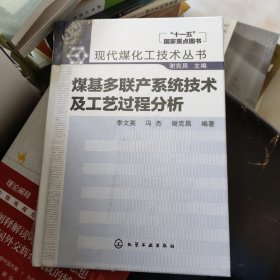 现代煤化工技术丛书：煤基多联产系统技术及工艺过程分析