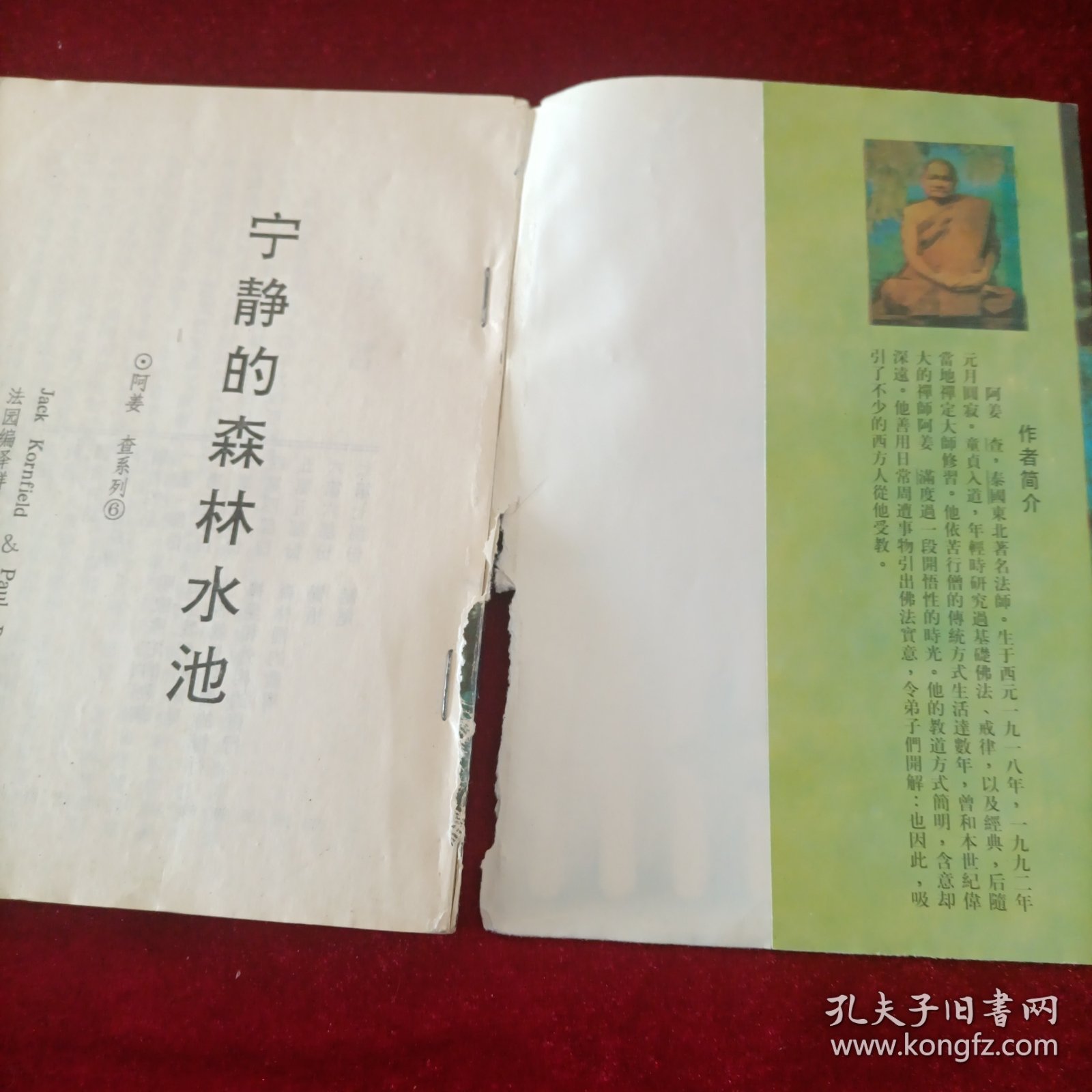 宁静的森林水池：阿姜查的内观禅修