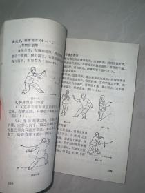 中国形意拳