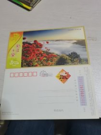 2008中国邮政贺年（有奖）仙岩风光-仙岩云海企业金卡明信片明信片----，
