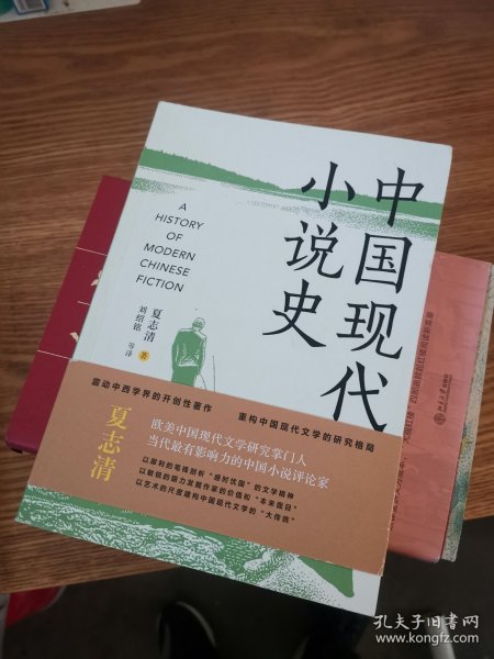 《中国现代小说史》（著名文学评论家夏志清震动中西学界的开创性著作，重构中国现代文学史的研究格局）