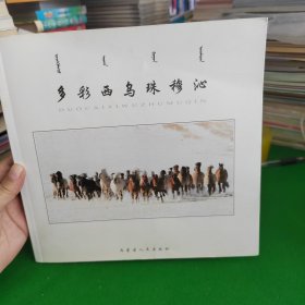 多彩西乌珠穆沁画册