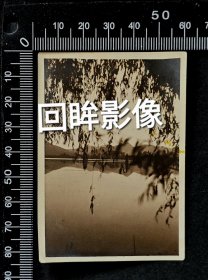 民国南洋公学留法预备部印章风景老照片