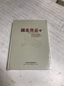 湖北省志19(1979-2000)安全生产监督管理 质量技术监督 药品与医疗器械监督管理