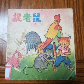 捉老鼠B2