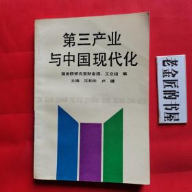 第三产业与中国现代化。【中共中央党校出版社，沈柏年 等主编，1992年，一版一印】。私藏书籍。