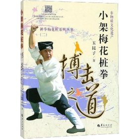 小架梅花桩拳 搏击之道之道 