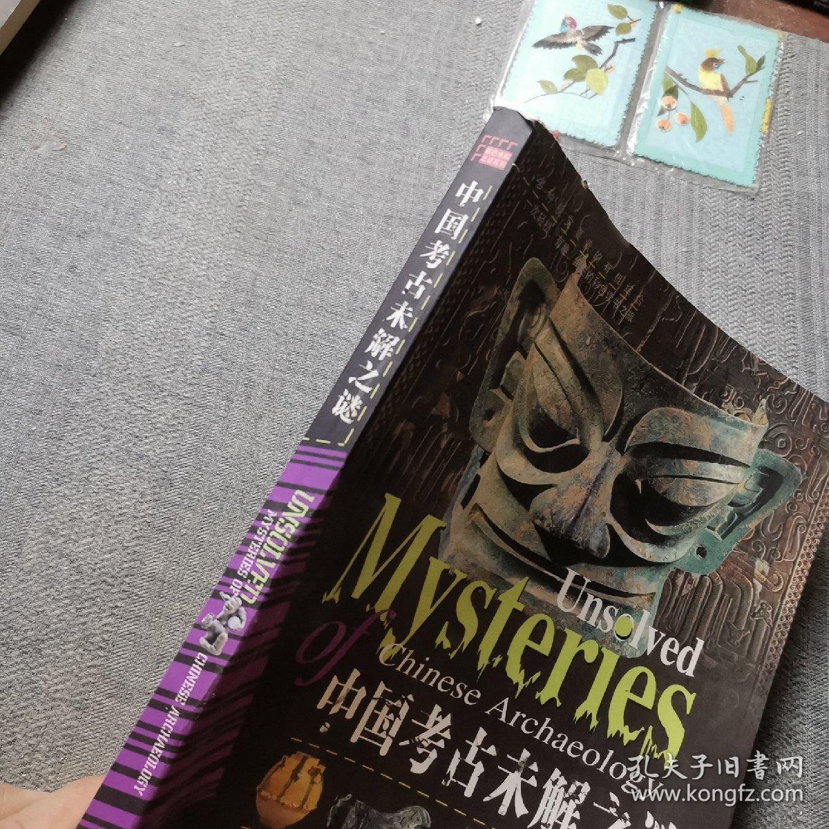 中国考古未解之谜：彩图版