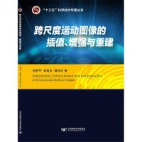 跨尺度运动图像的插值、增强与重建 【正版九新】