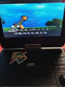 VCD光盘：刀郎 北方天空下。【内容：北方天空下、曼莉、祝酒歌、吐鲁番的葡萄熟了、2002年的第一场雪 等36首歌曲】。中文字幕（二片装）。